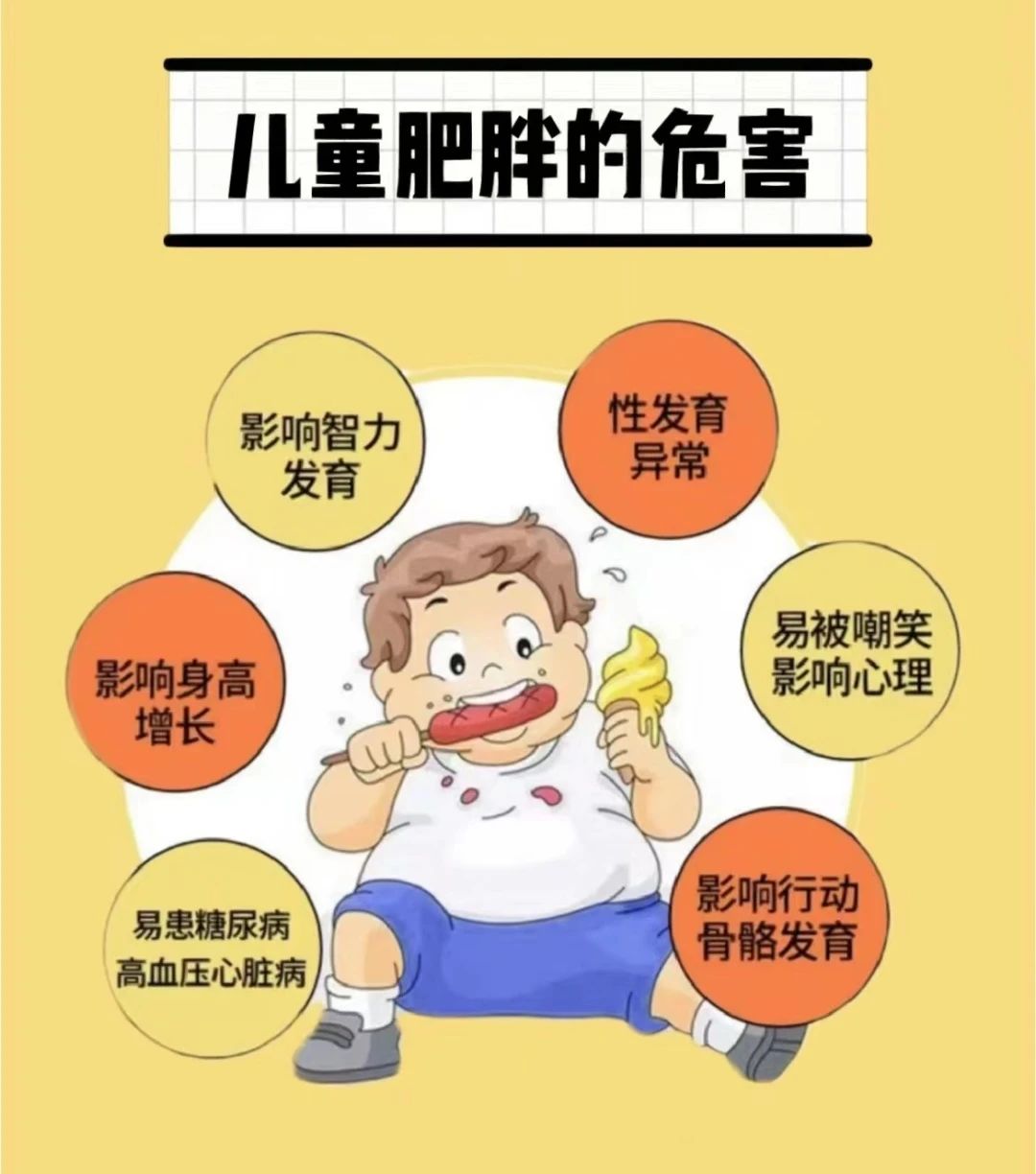 儿童肥胖的危害肥胖儿童大多喜欢吃荤菜,不喜欢吃蔬菜,有爱吃零食的