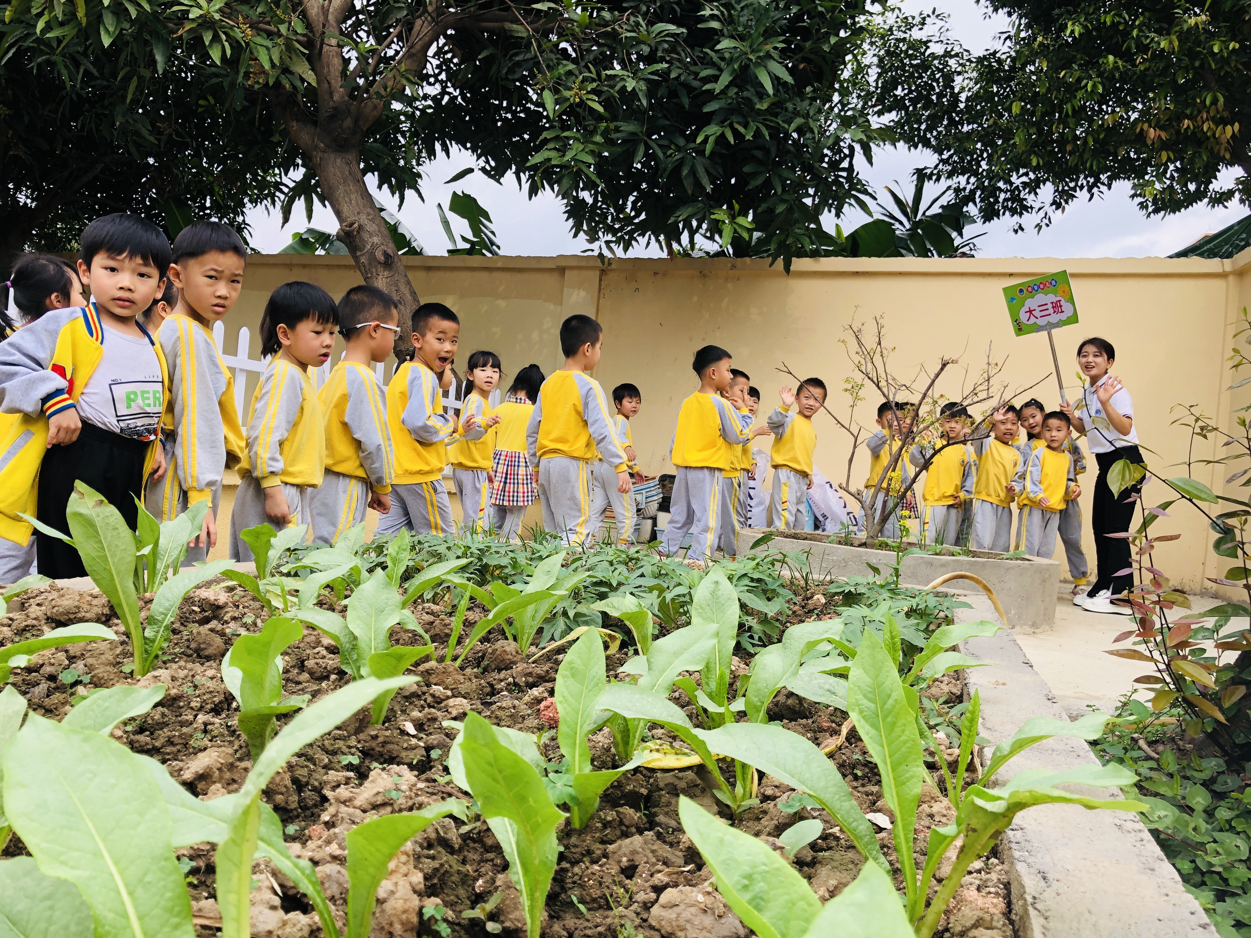 幼小协同 科学衔接——走进坦背小学幼小衔接实践活动