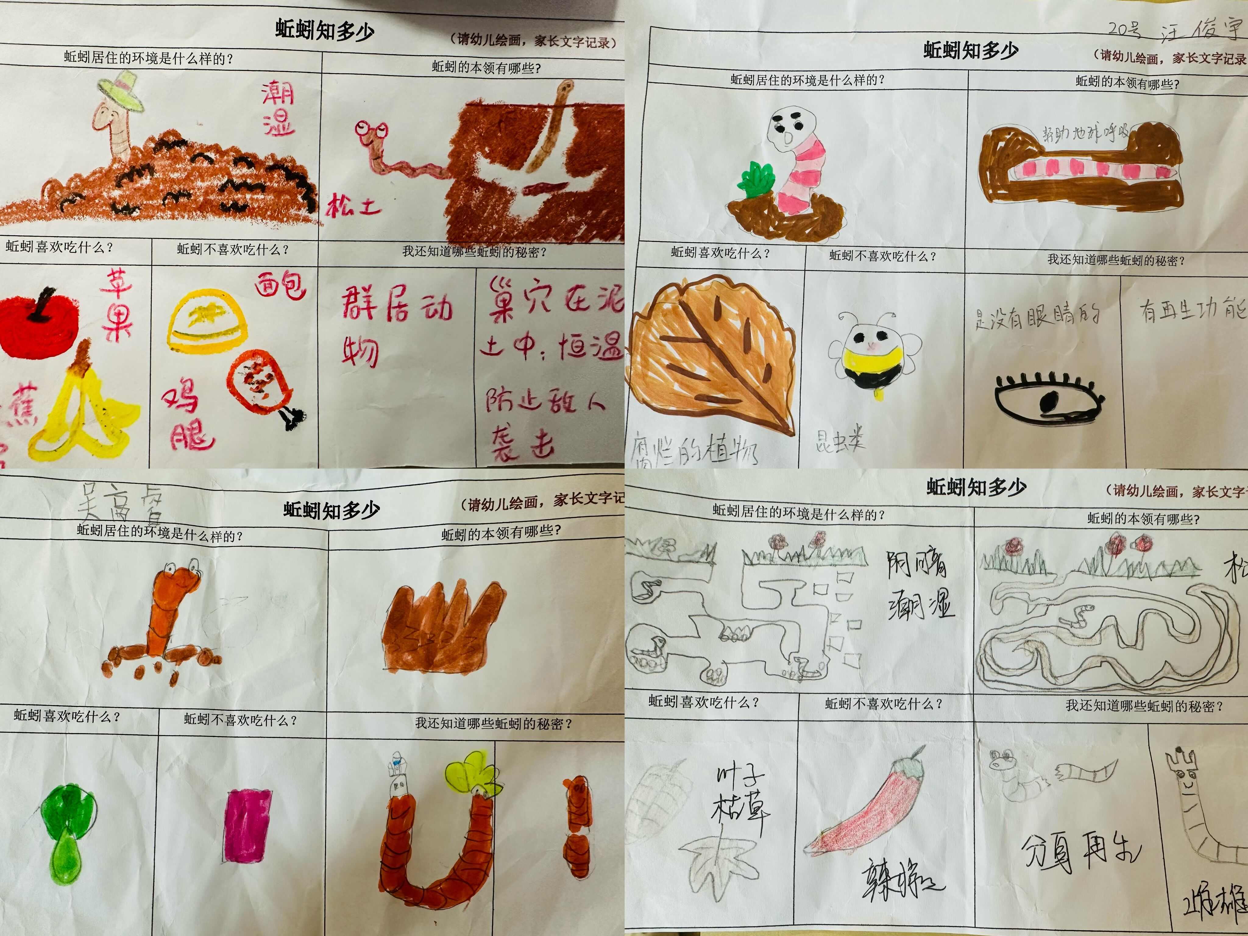 幼儿园蚯蚓观察记录表图片