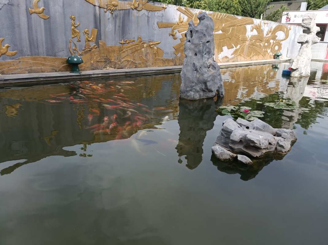 阜阳十九中连续三届被评为市级文明校园