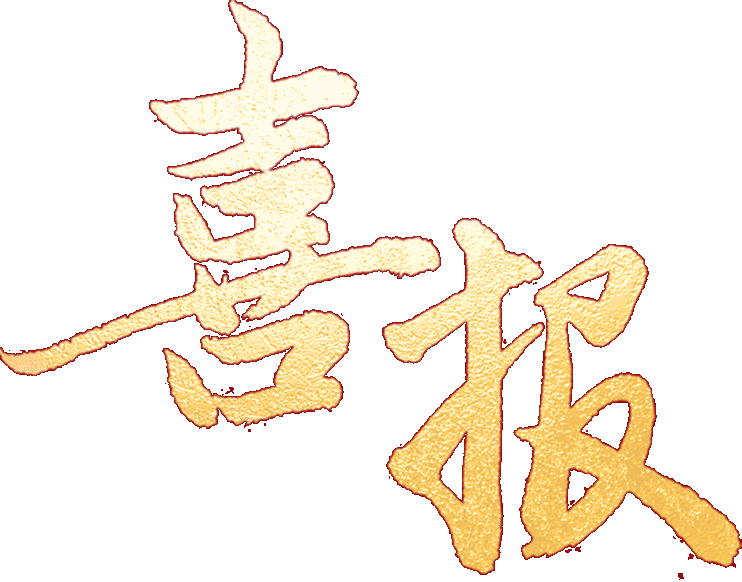 【园所活动】喜报来了